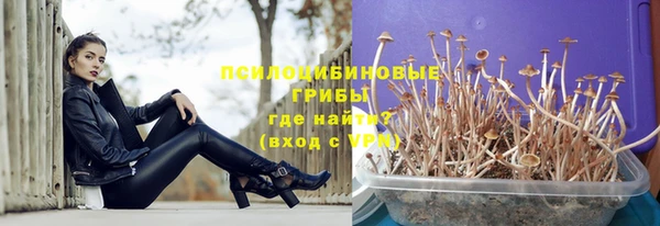 mdpv Бугульма