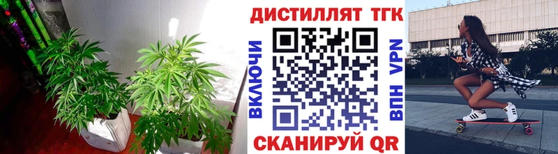 ТГК концентрат  где можно купить   Каменск-Уральский 